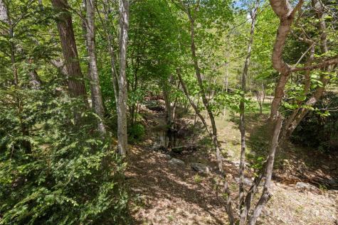 233 Arcadia Falls Way Black Mountain NC 28711