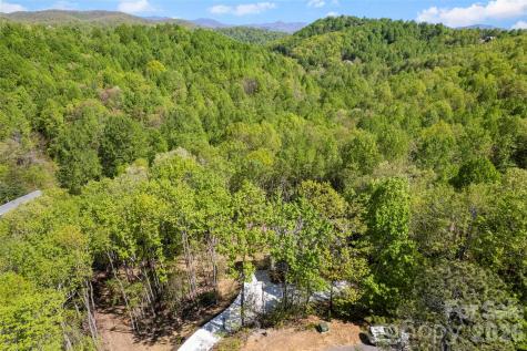 233 Arcadia Falls Way Black Mountain NC 28711