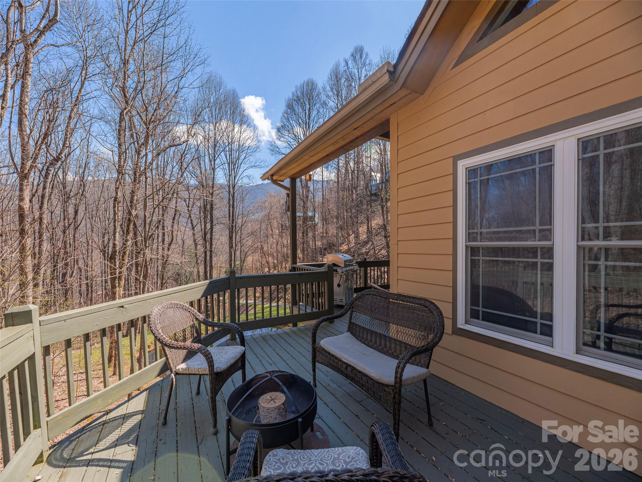 90 Lionheart Lane Maggie Valley NC 28751