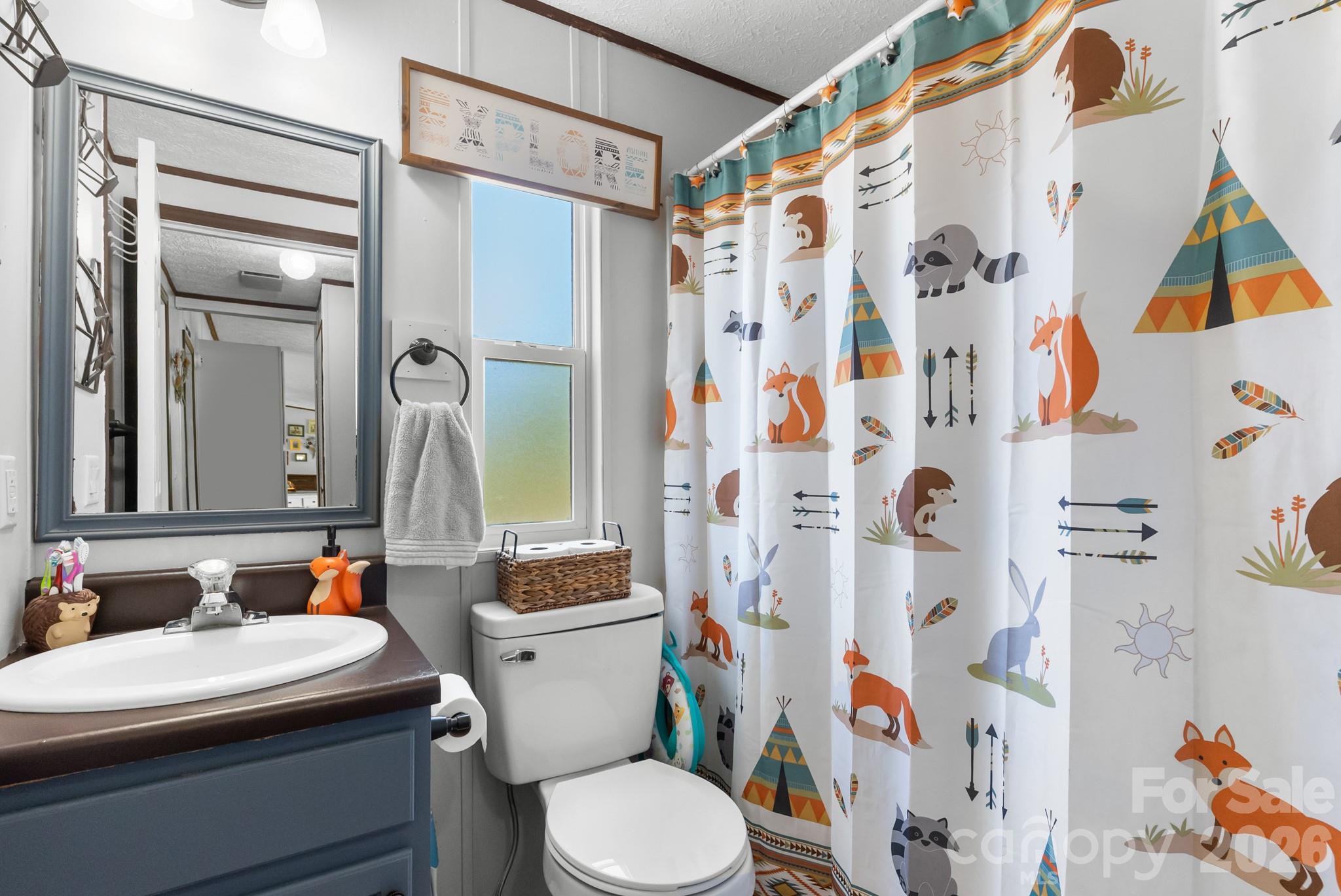 152 Pioneer Ridge Sparta NC 28675