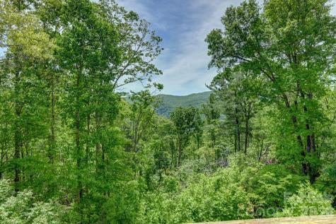 491 High Top Drive Fletcher NC 28732