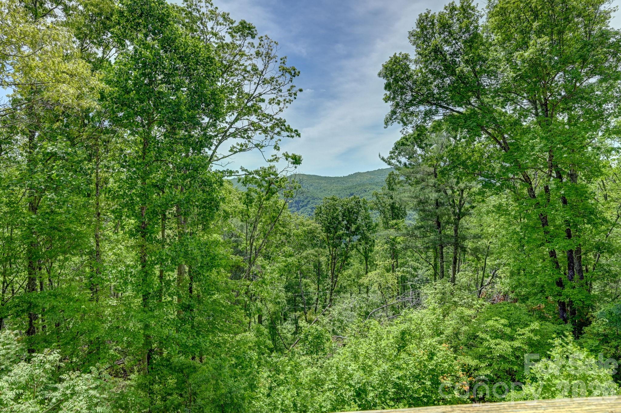 491 High Top Drive Fletcher NC 28732