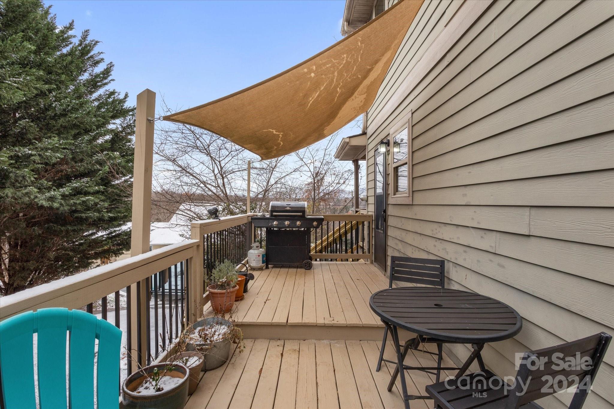 9 Annie Street Asheville NC 28806