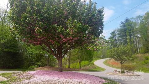 178 Waightstill Drive Arden NC 28704