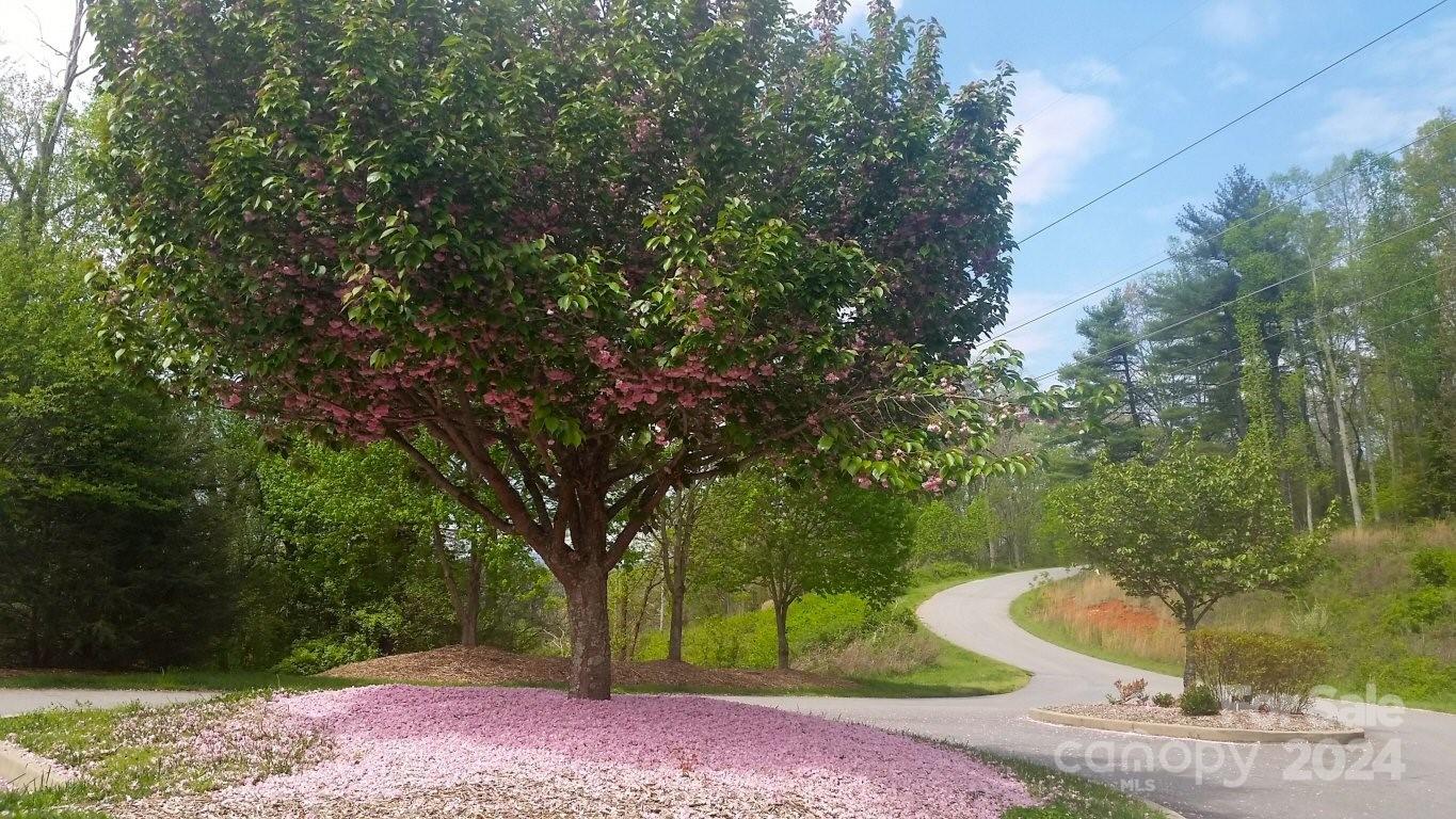 178 Waightstill Drive Arden NC 28704