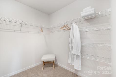 831 Adelston Lane Asheville NC 28804