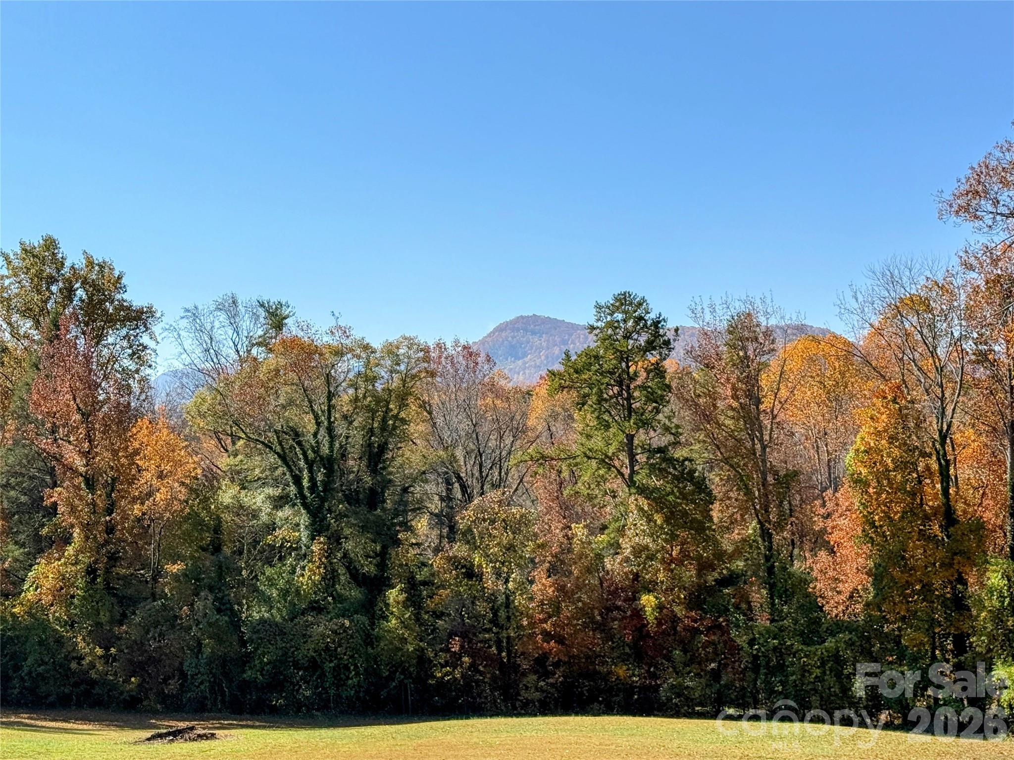 979 Howard Gap Road Tryon NC 28782