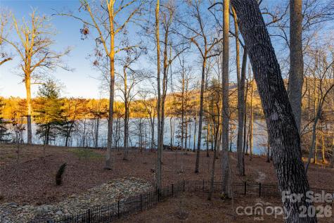 47 Twilight Sedge Drive Biltmore Lake NC 28715