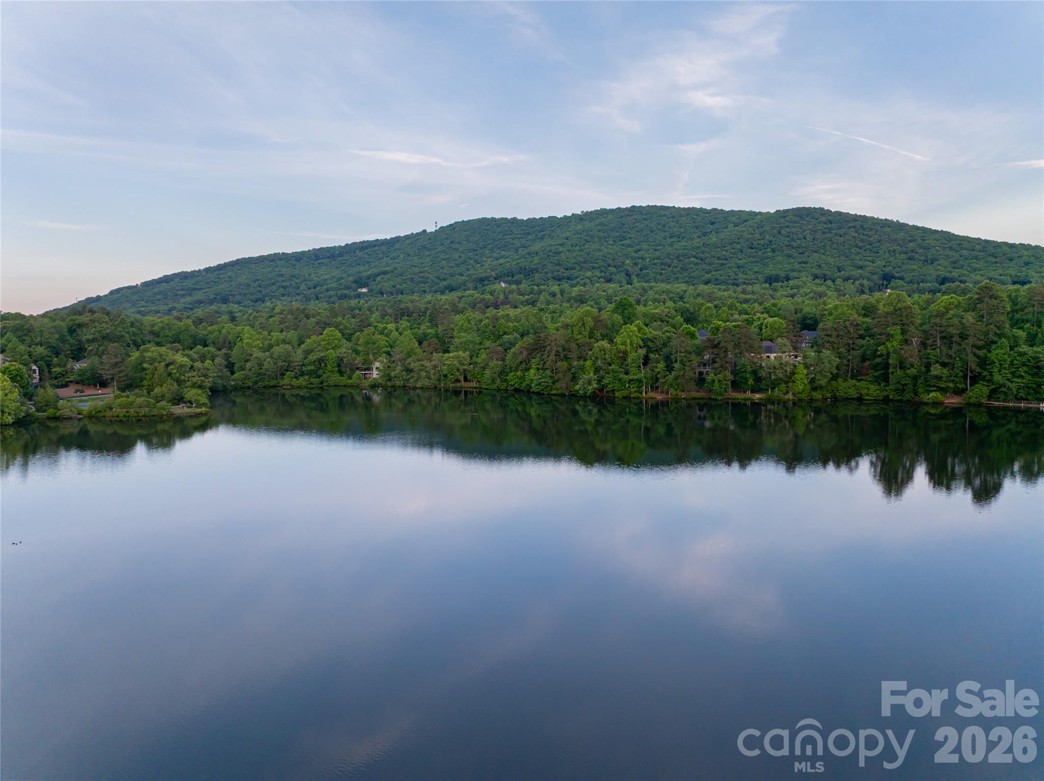 47 Twilight Sedge Drive Biltmore Lake NC 28715