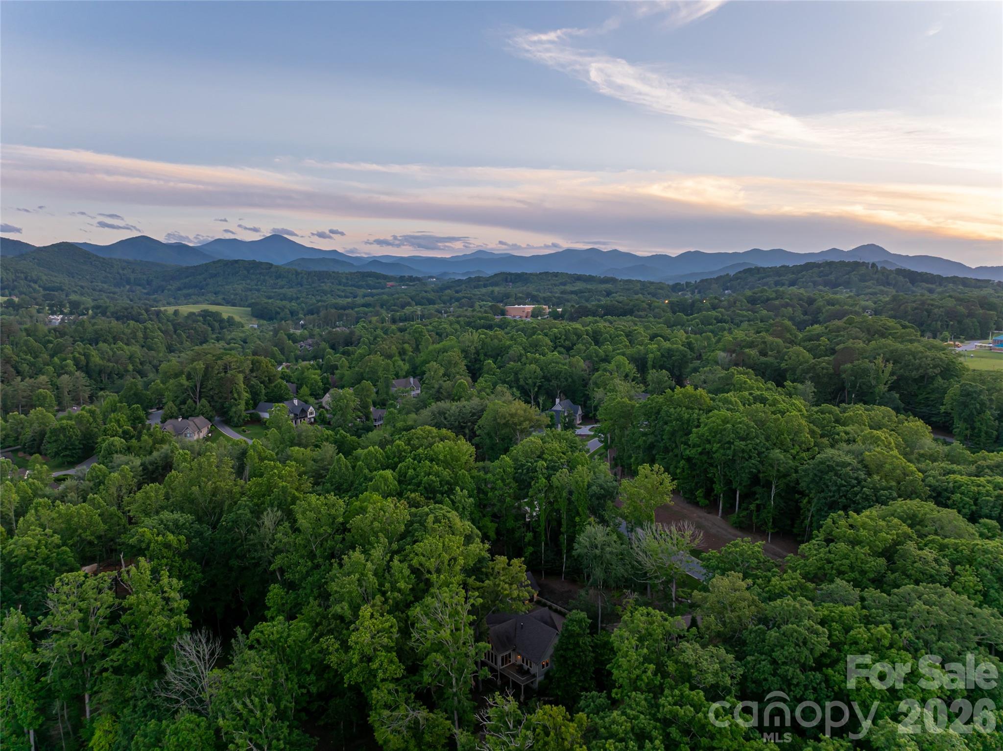 47 Twilight Sedge Drive Biltmore Lake NC 28715