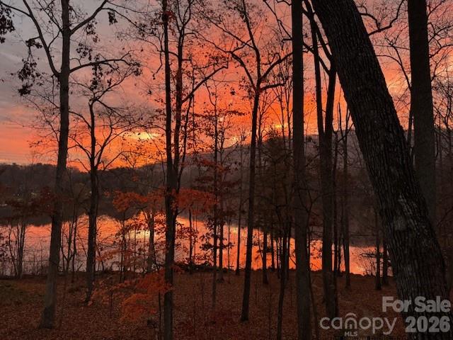 47 Twilight Sedge Drive Biltmore Lake NC 28715