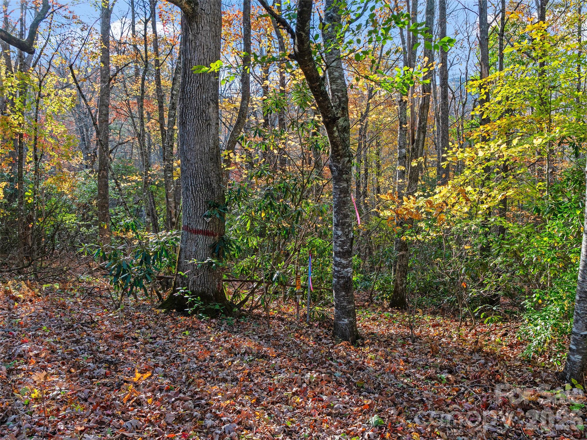 219 Raven Rock Lane Burnsville NC 28714