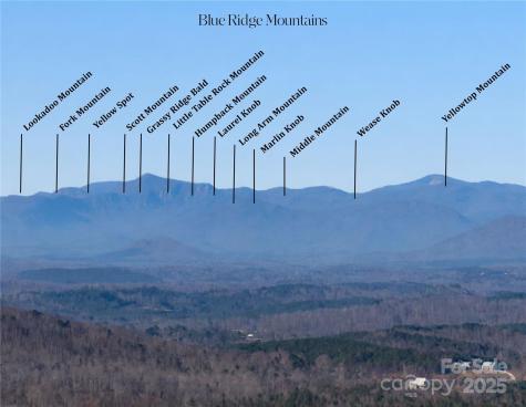 146 Sarinac Drive Bostic NC 28018