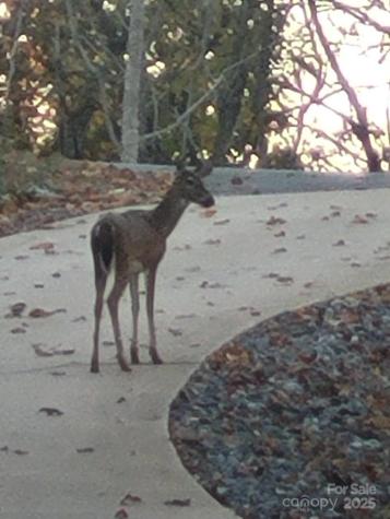 146 Sarinac Drive Bostic NC 28018