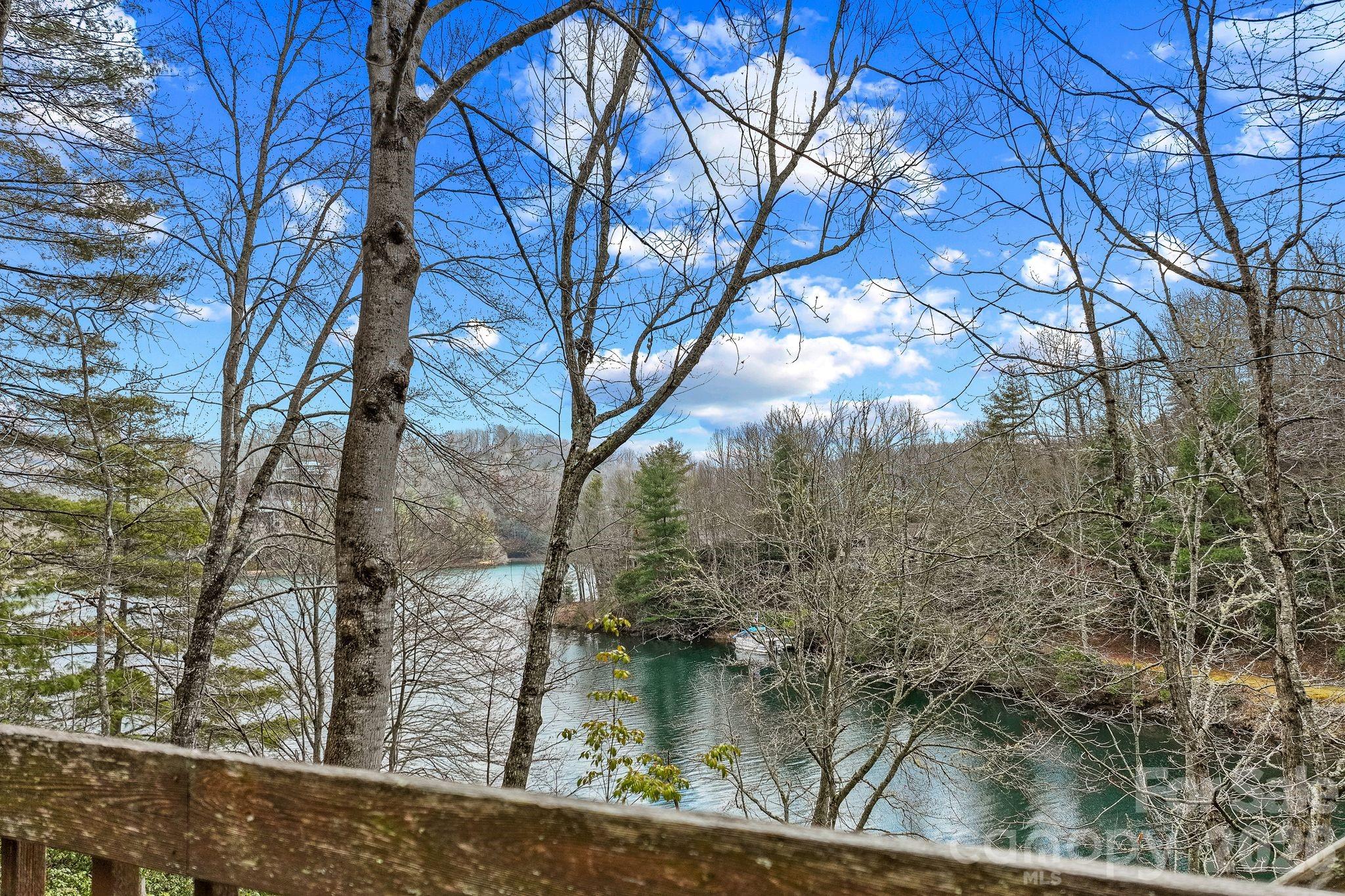 306 S Sequoyah Lane Brevard NC 28712
