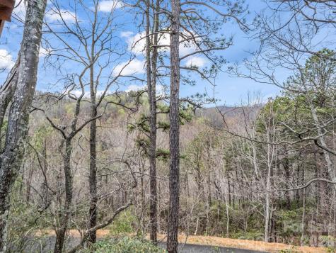 294 Verbena Drive Black Mountain NC 28711