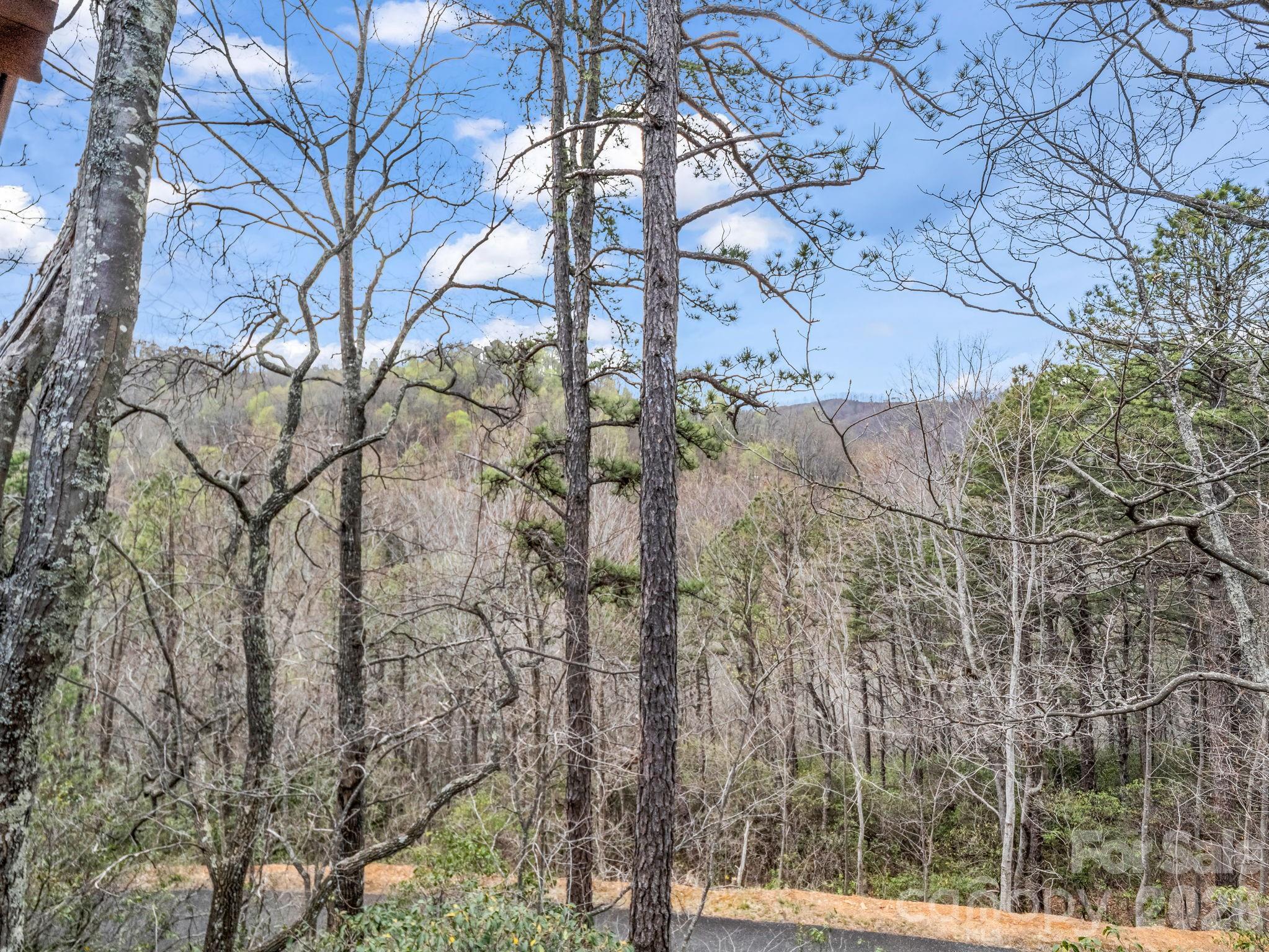 294 Verbena Drive Black Mountain NC 28711