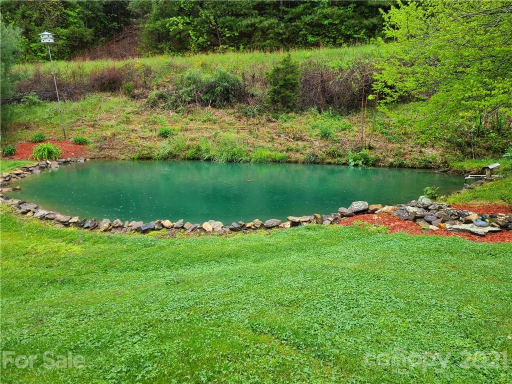 139 S Turkey Creek Road Leicester NC 28748