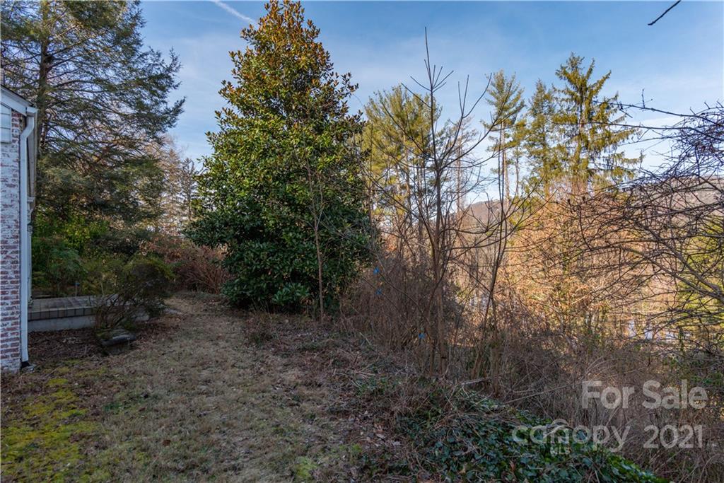 3 Pine Tree Road Asheville NC 28804