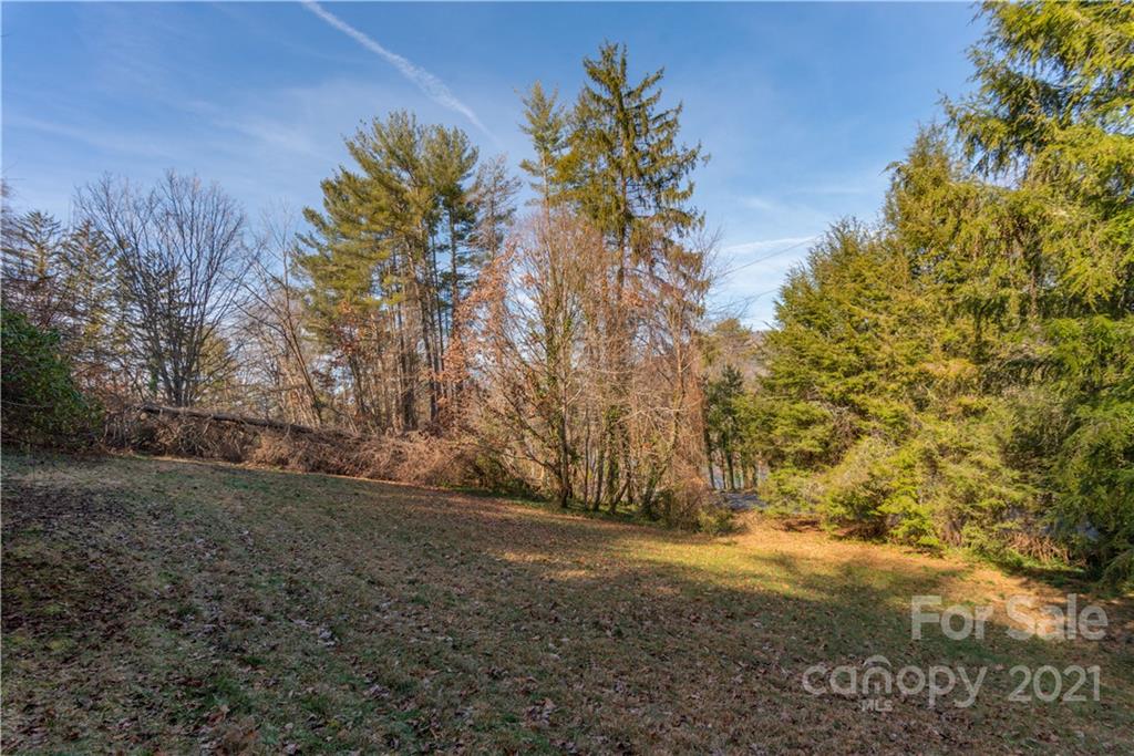 3 Pine Tree Road Asheville NC 28804