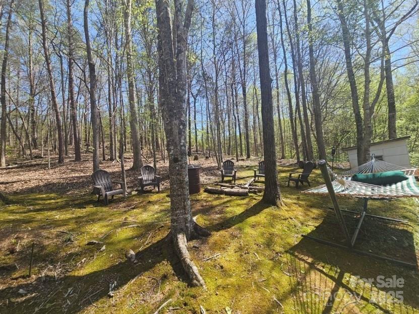 1597 Cleghorn Mill Road Rutherfordton NC 28139