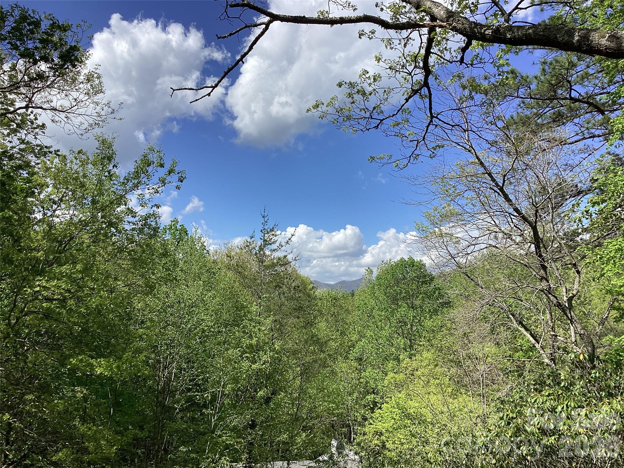 31 Rhododendron Road Black Mountain NC 28711