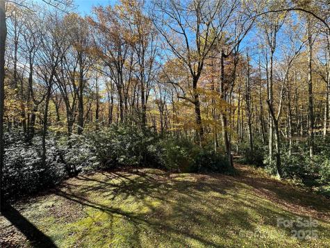 4102 Highway 221 S Blowing Rock NC 28605