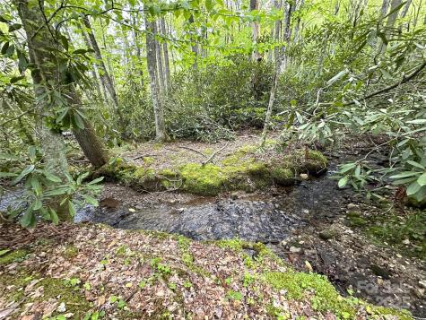 4102 Highway 221 S Blowing Rock NC 28605