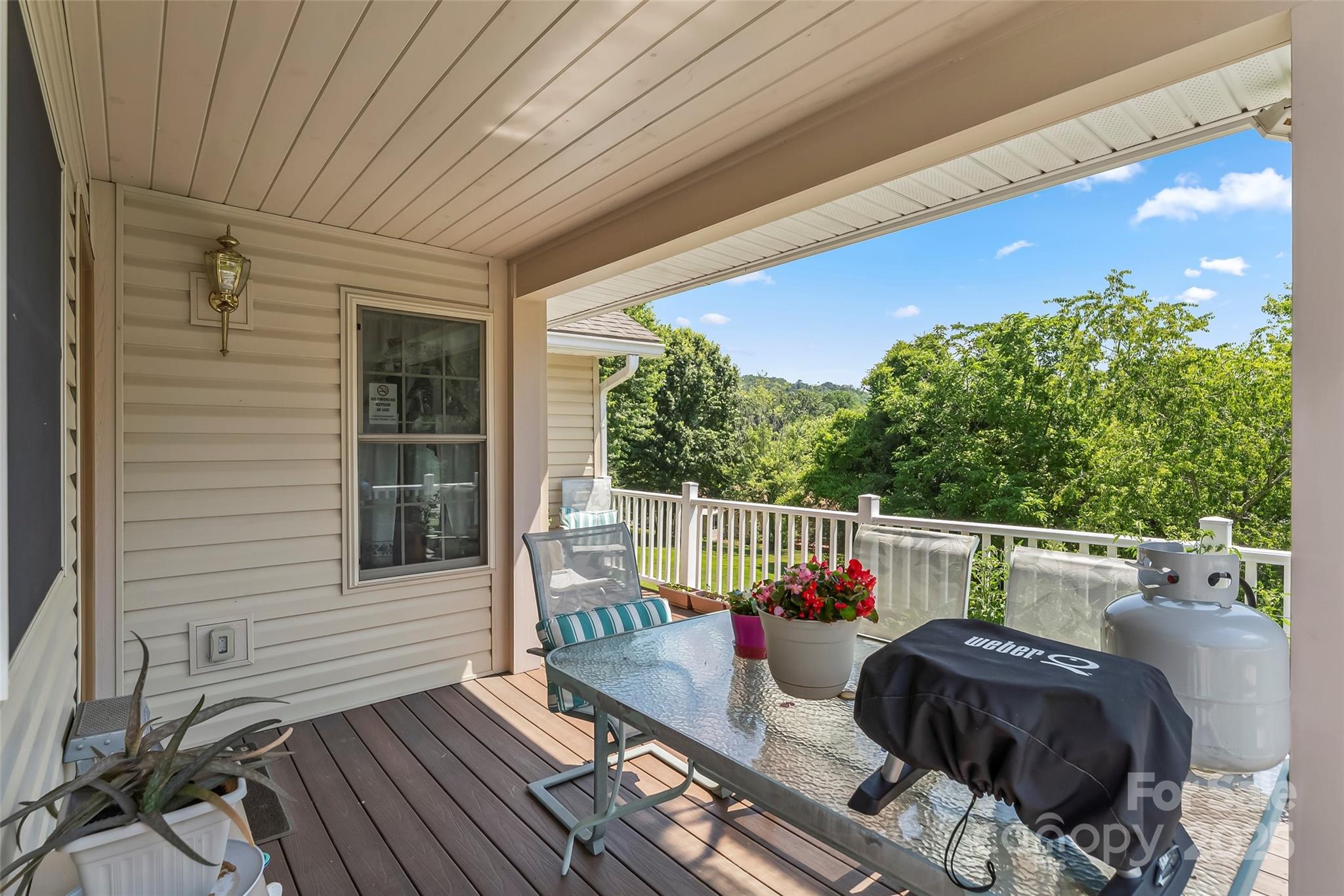 862 Asbury Road Candler NC 28715