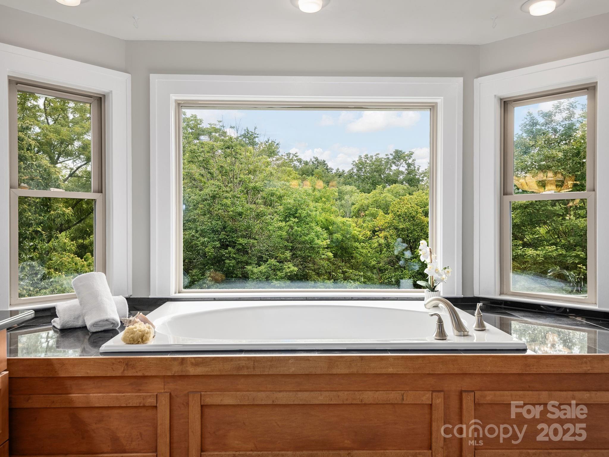 135 Westwood Place Asheville NC 28806