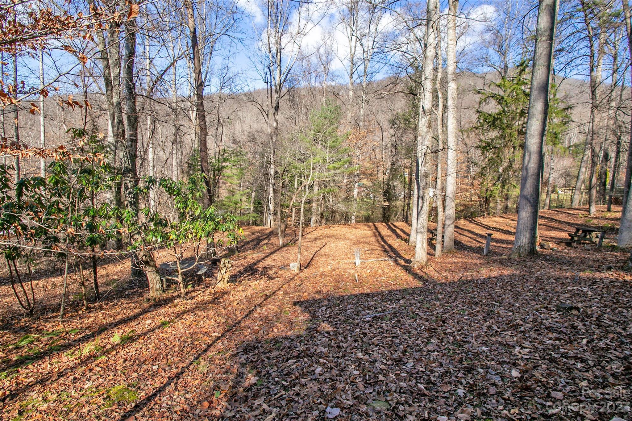 67 Mcdaris Cove Road Weaverville NC 28787