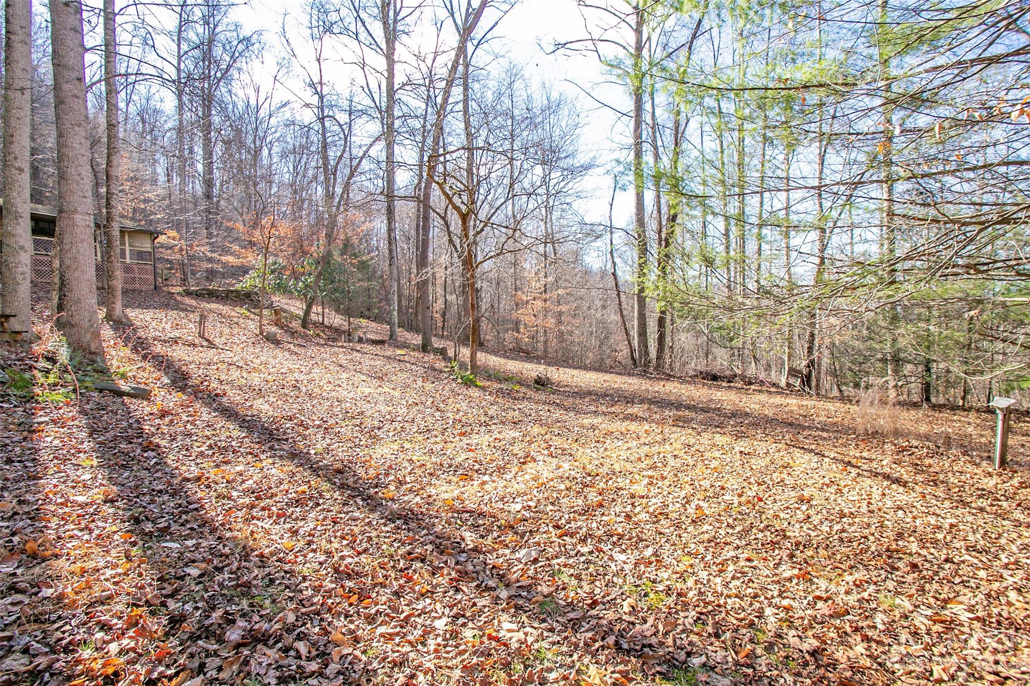 67 Mcdaris Cove Road Weaverville NC 28787