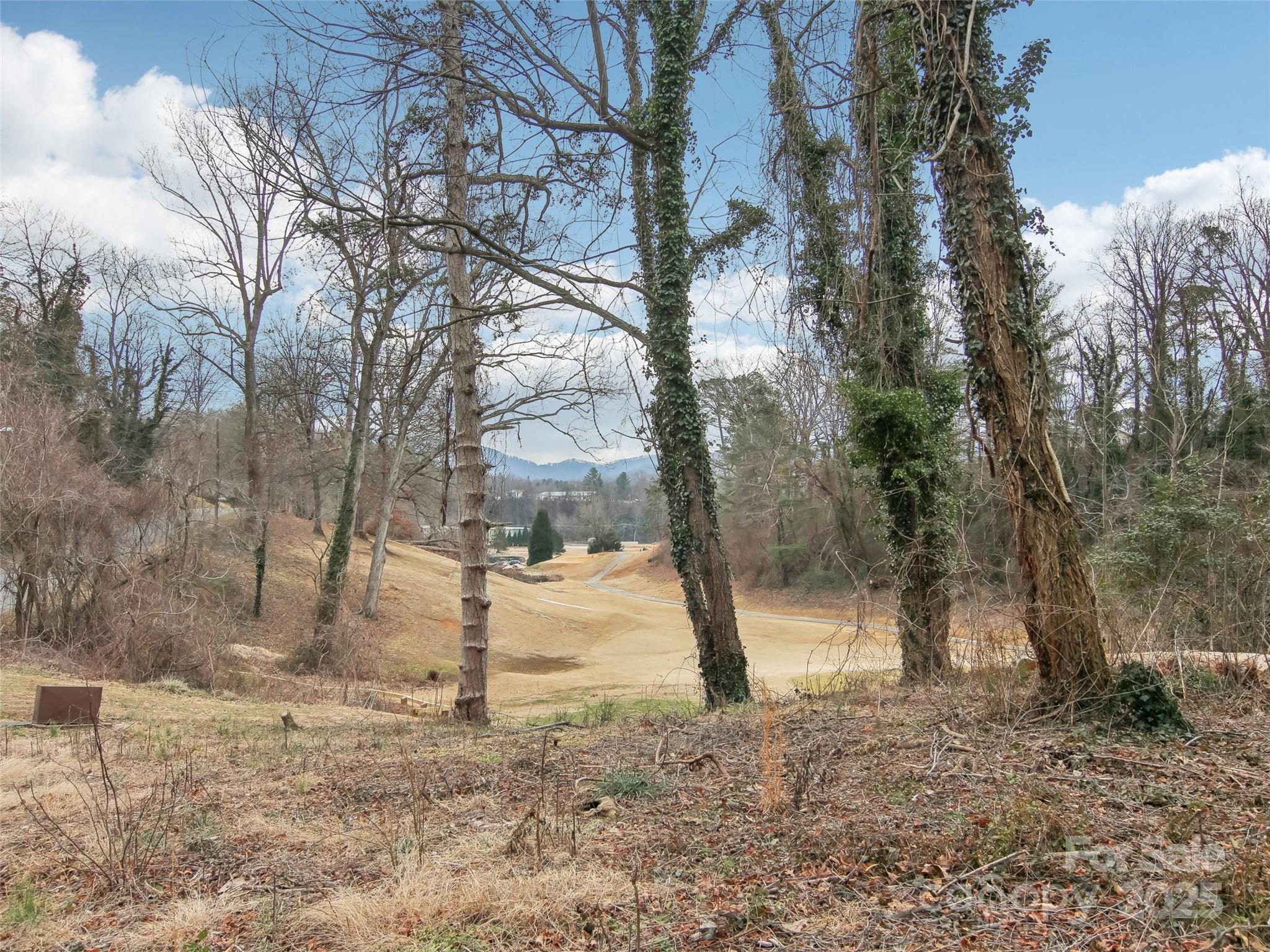 28 Kensington Drive Asheville NC 28805