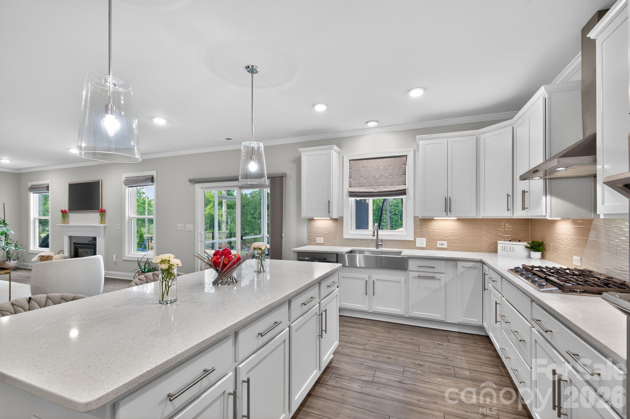 1127 Ashe Meadow Drive Indian Trail NC 28079