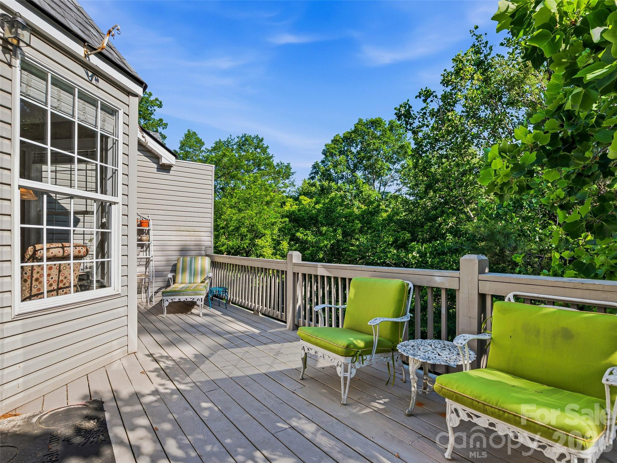 117 Hibiscus Lane Asheville NC 28803