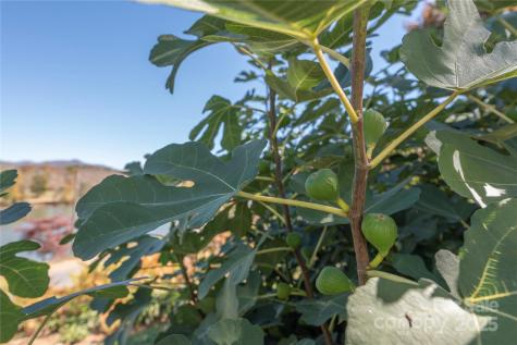 2 Westwood Road Asheville NC 28804