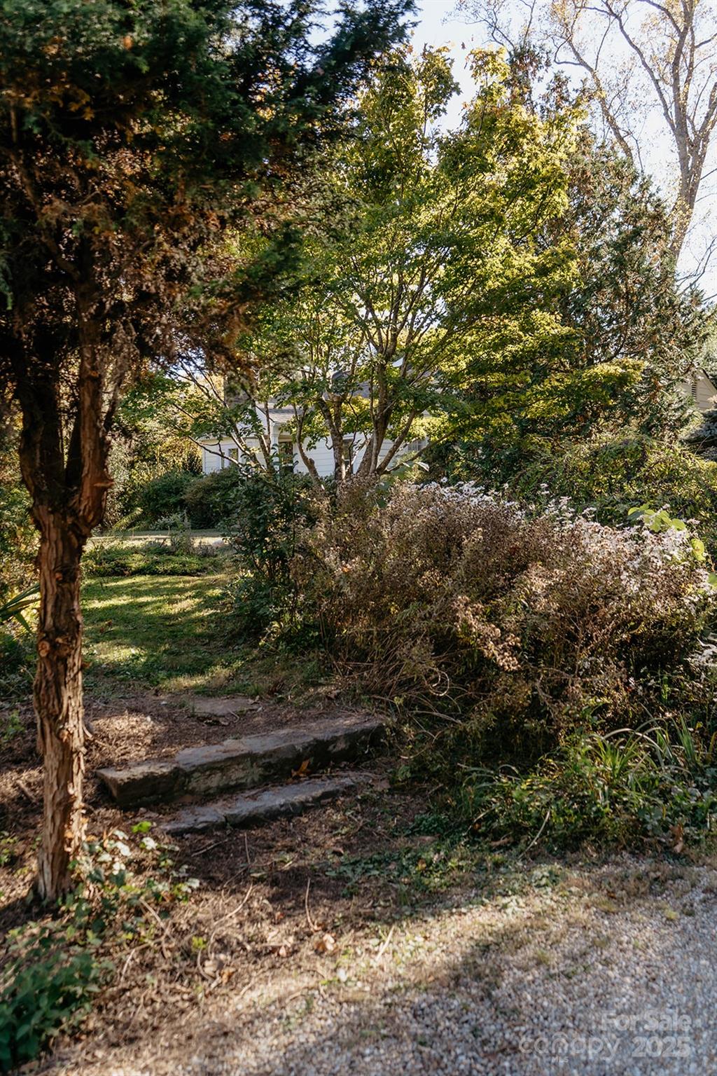 95 Aurora Drive Asheville NC 28805