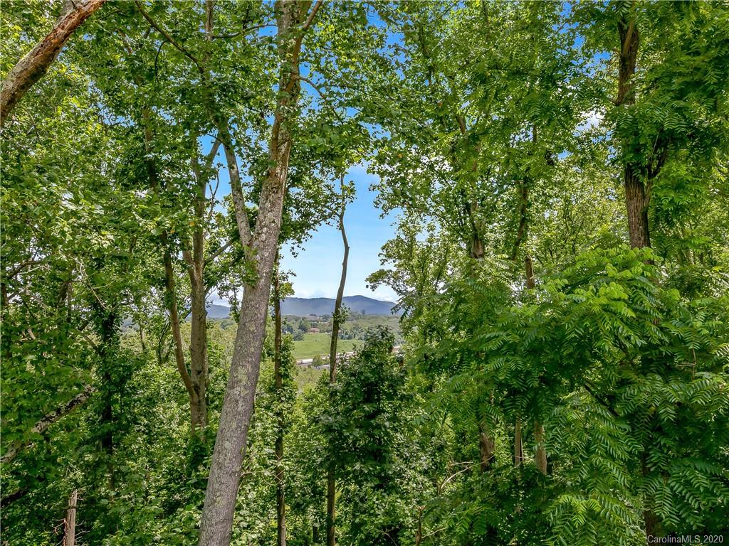 116 Riverview Drive Asheville NC 28806