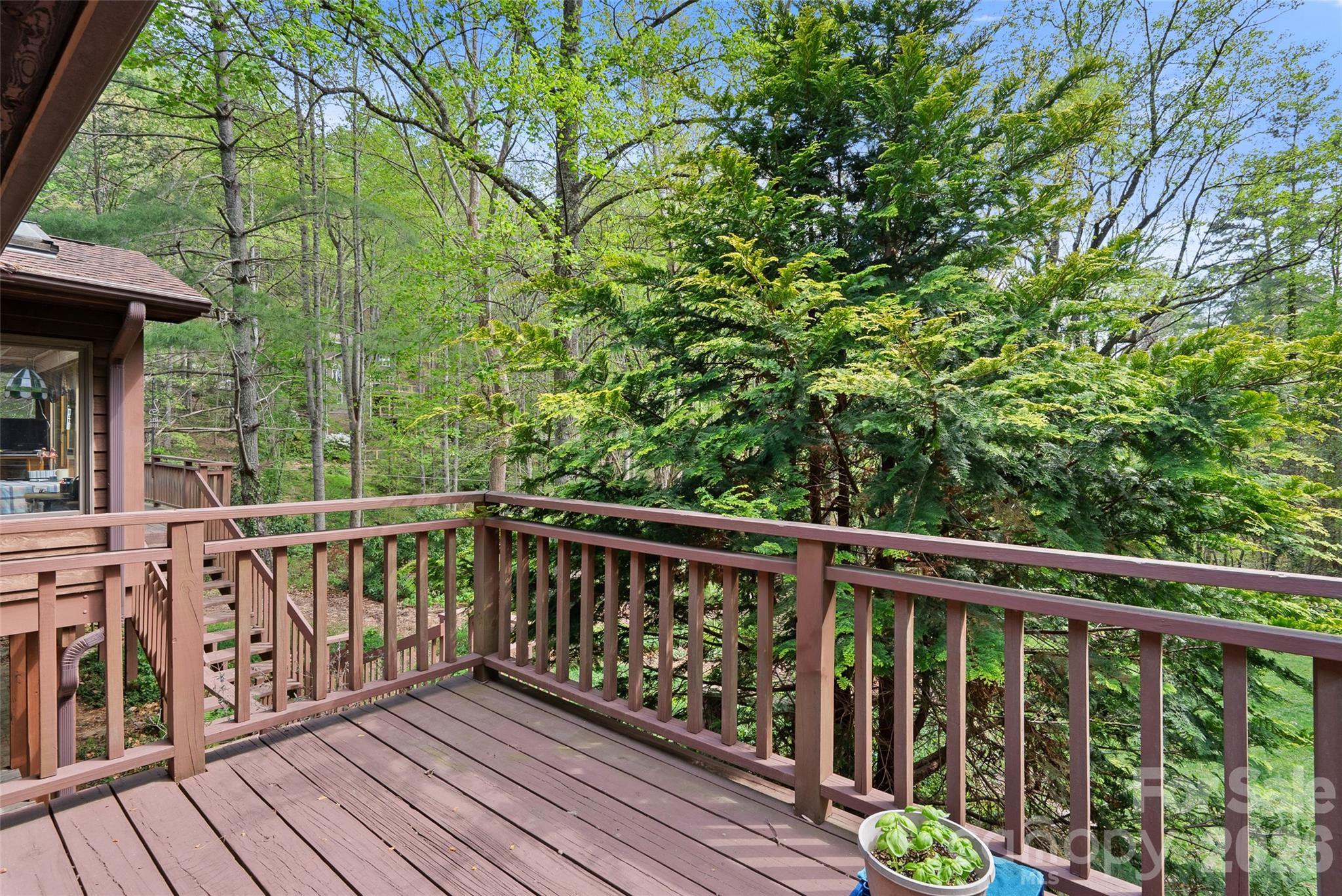 120 Carter Cove Road Asheville NC 28804