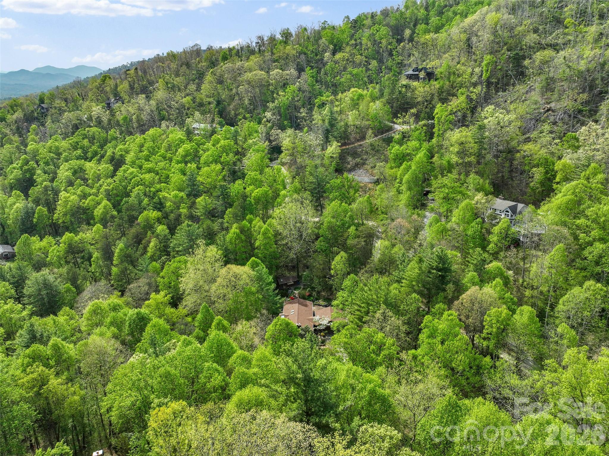120 Carter Cove Road Asheville NC 28804