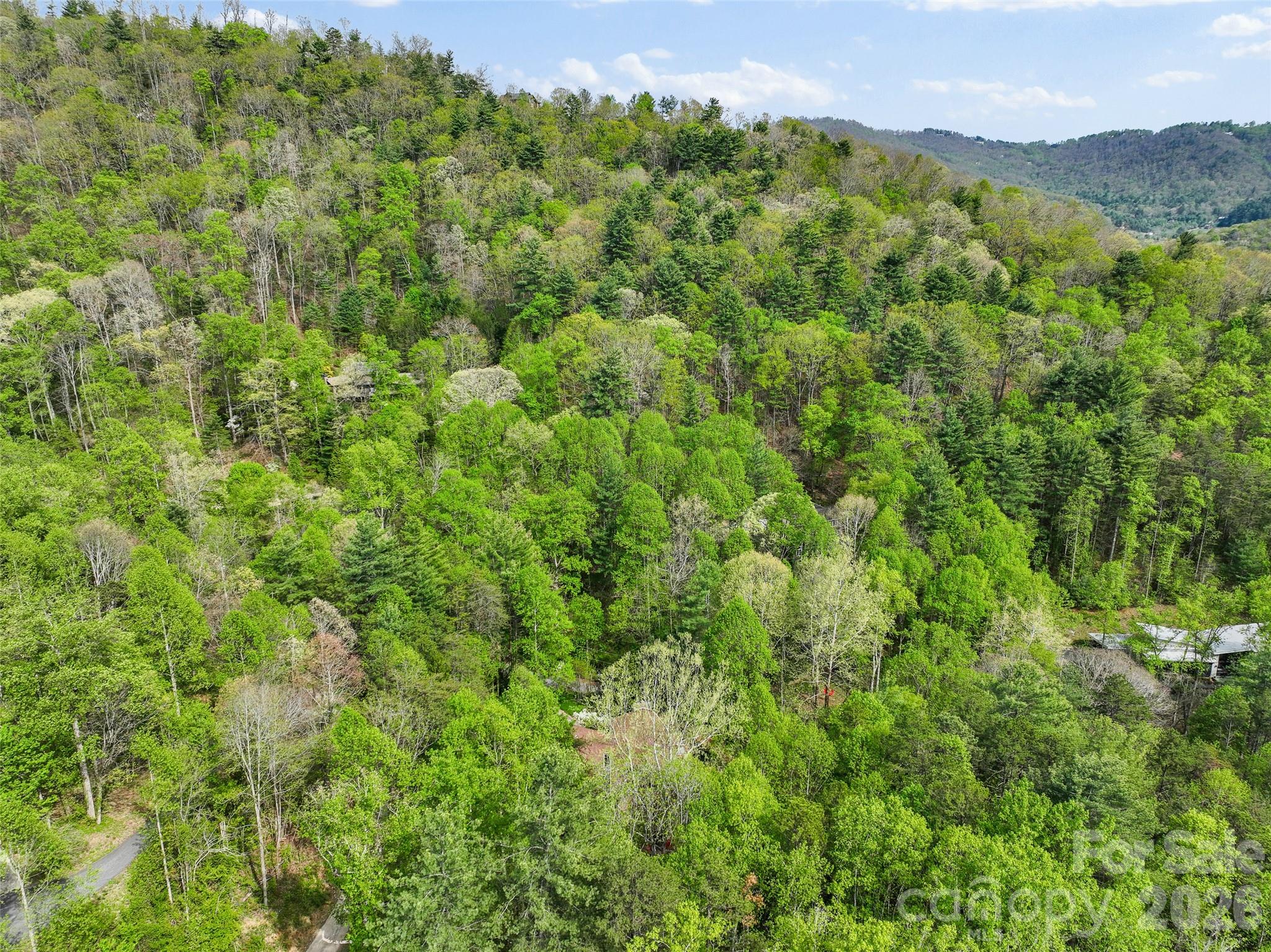 120 Carter Cove Road Asheville NC 28804