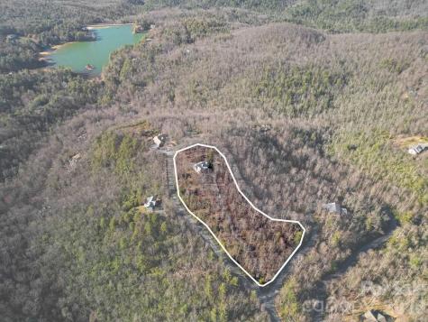 40 Walnut Ridge Circle Brevard NC 28712