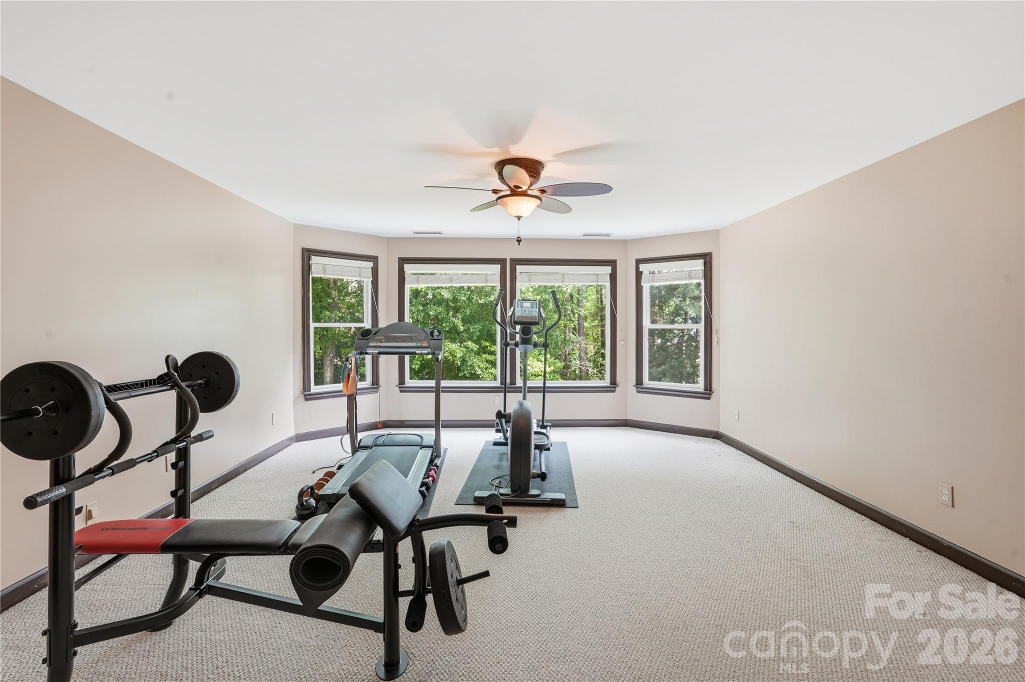 16219 Millsford Court Charlotte NC 28277