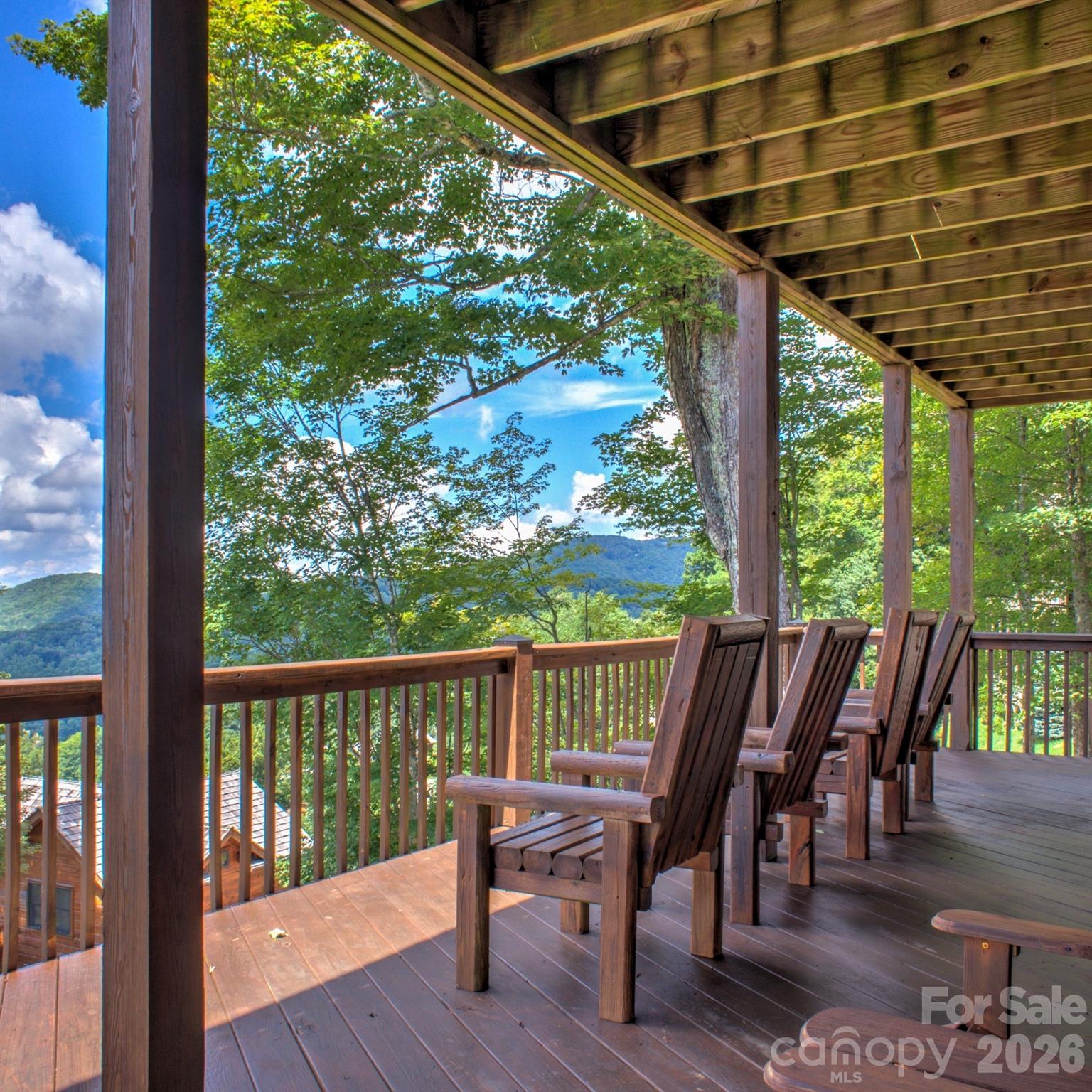 181 Scenic Wolf Drive Mars Hill NC 28754