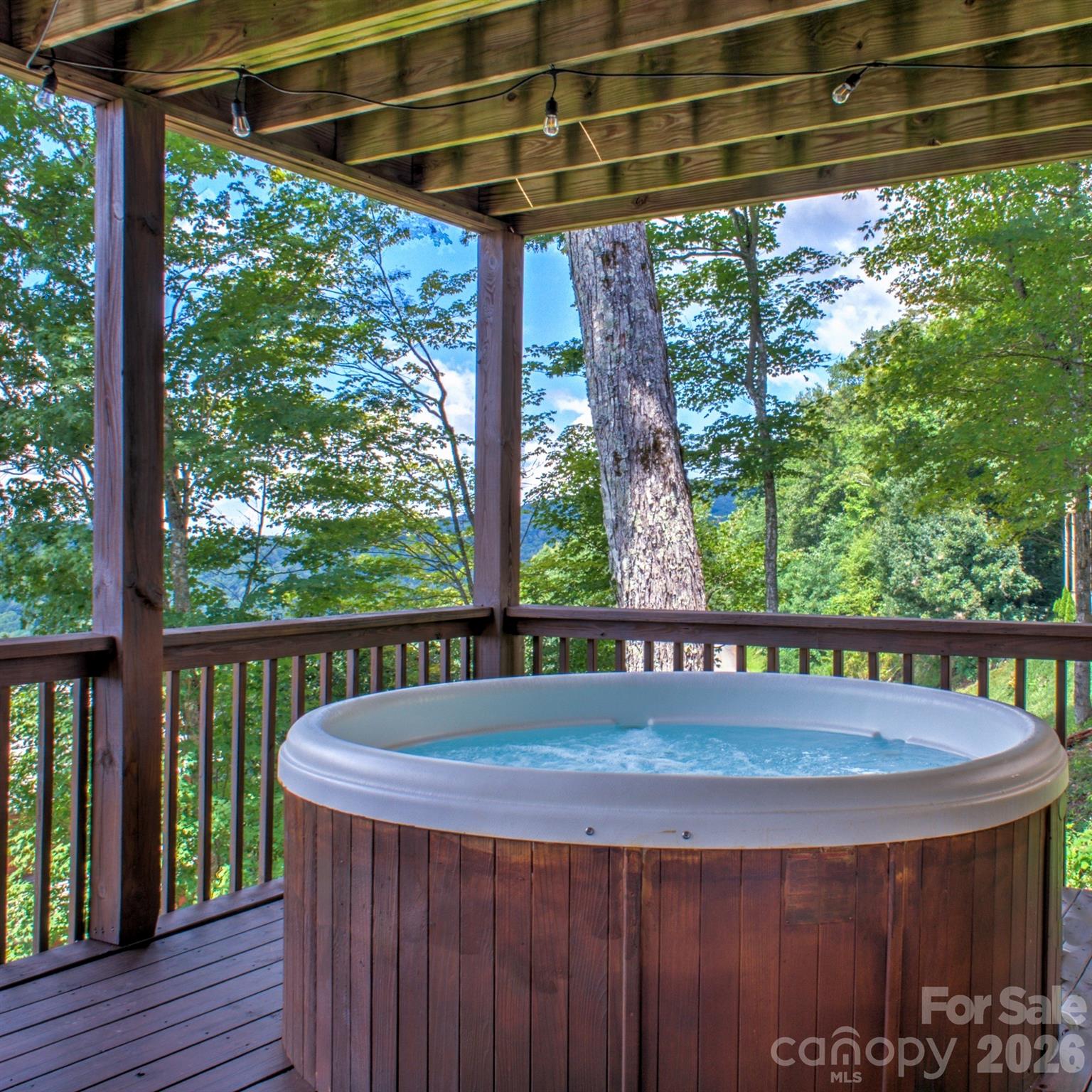 181 Scenic Wolf Drive Mars Hill NC 28754
