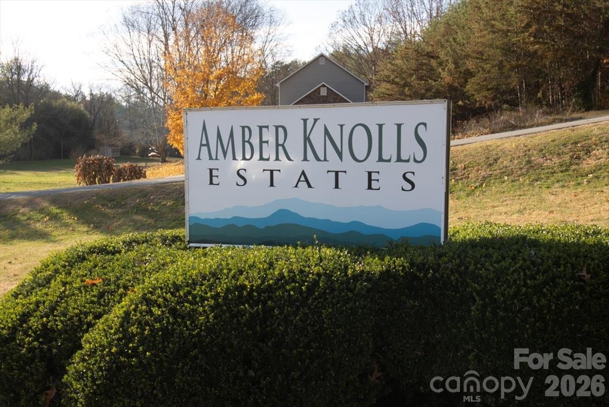 9 Old Amber Drive Weaverville NC 28787