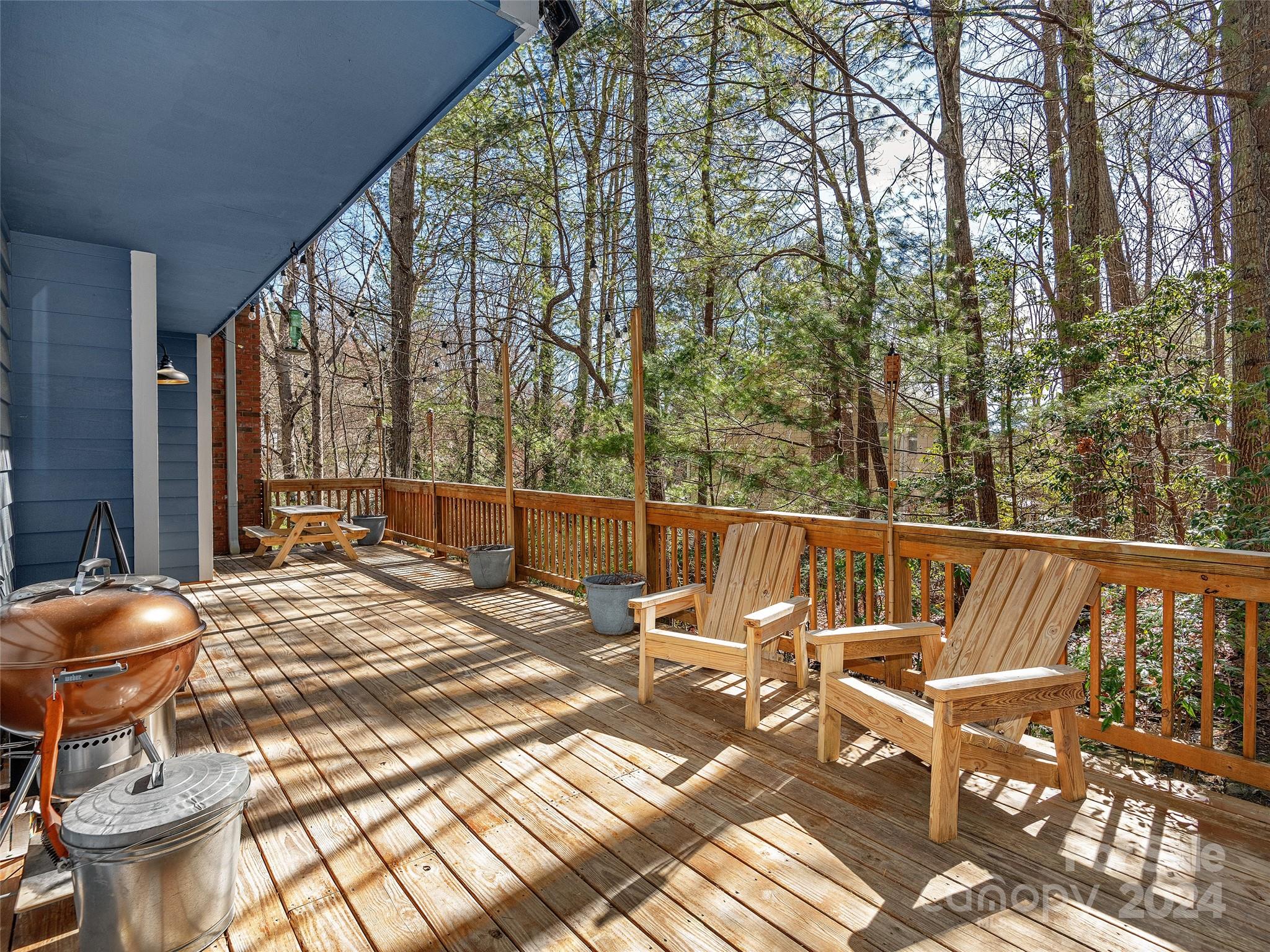 22 Spring Cove Court Arden NC 28704