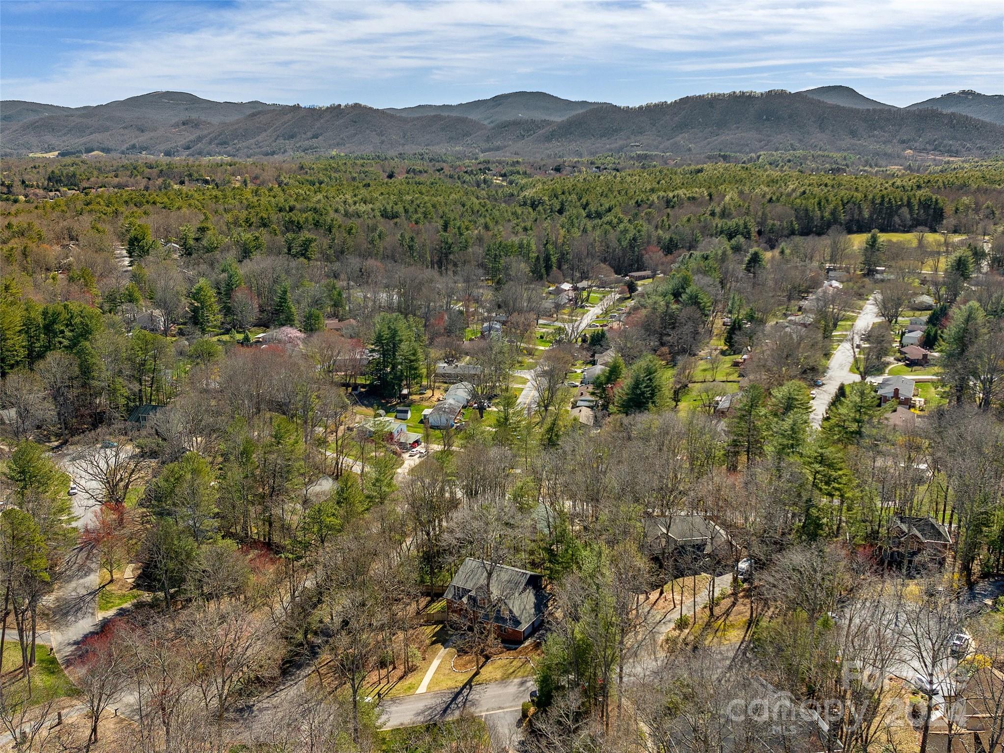 22 Spring Cove Court Arden NC 28704