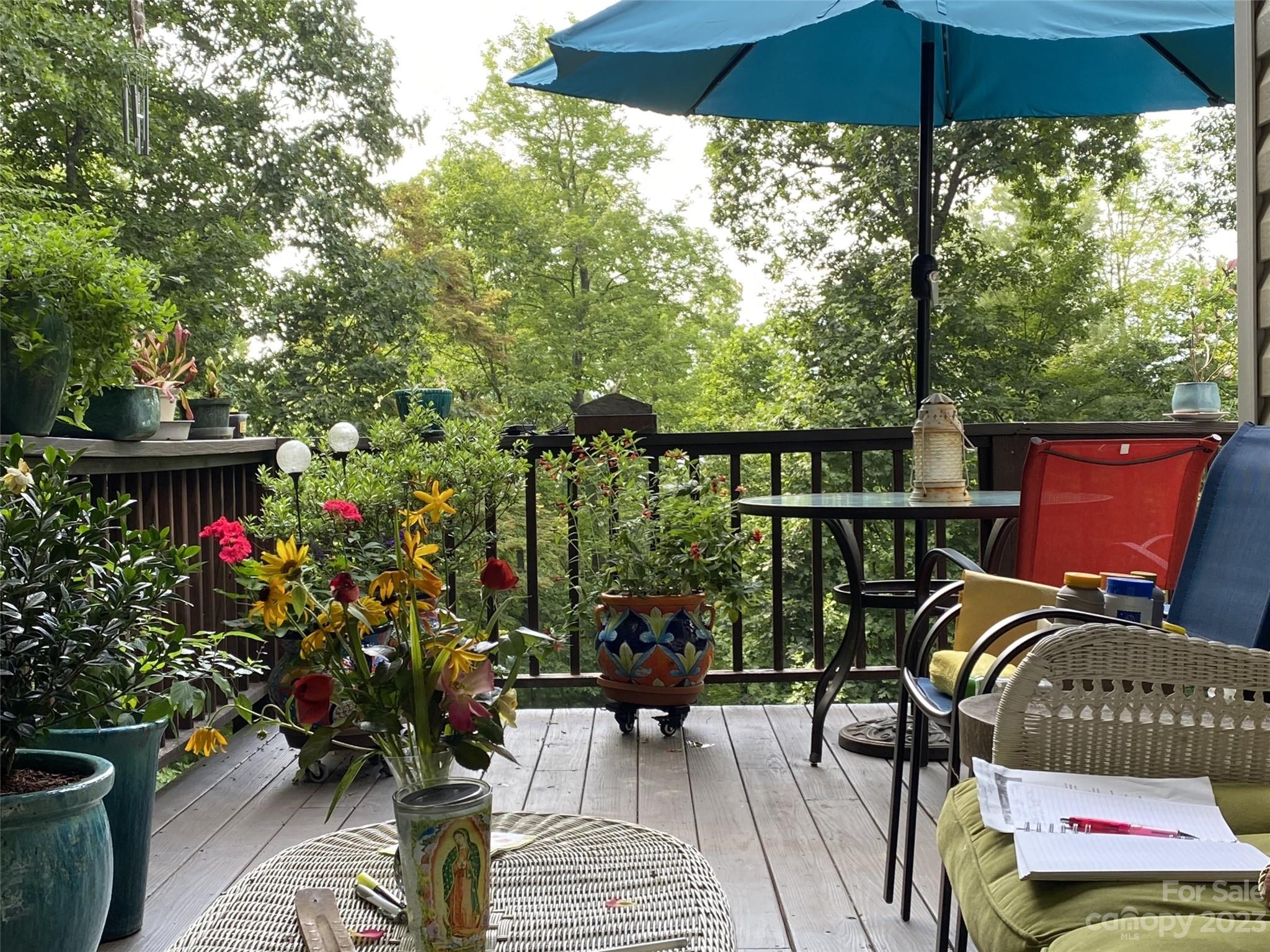 32 Hunting Lodge Drive Black Mountain NC 28711