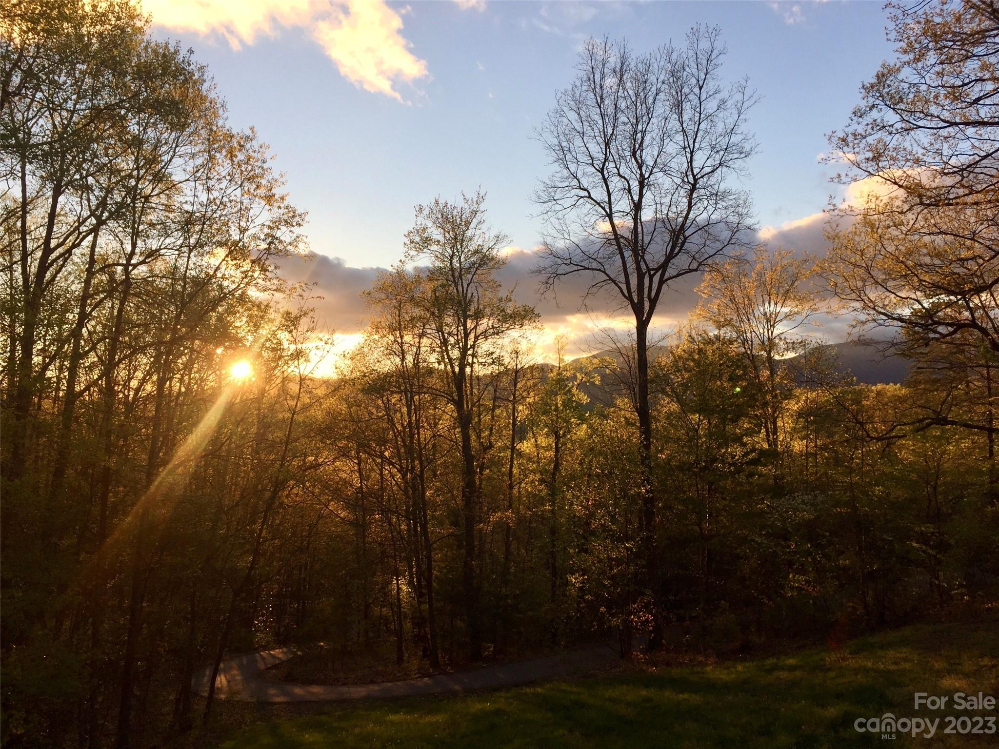 32 Hunting Lodge Drive Black Mountain NC 28711